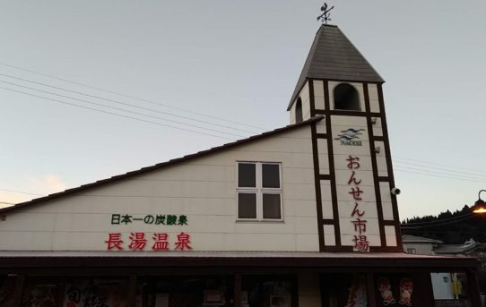 2019 初詣⛩の旅　秋元神社