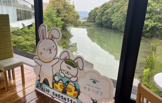 2025 5月　野々庵〜やまつばさ♨️