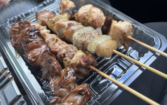 2025 8月  野暮用