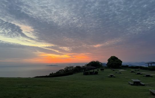 2025 12月　今年もありがとう✨👍