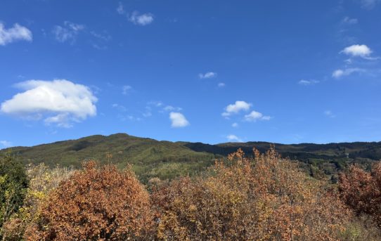 2025 12月　まりもを連れて七山に👍