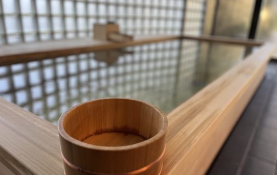 2026 1月 初詣🎍　霧島で連泊旅🧳　中編