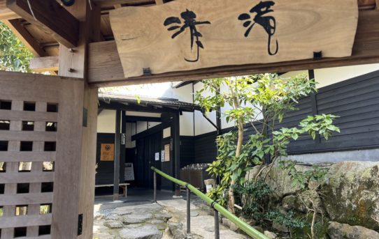 2026 ３月　まりもを連れて清滝♨️に